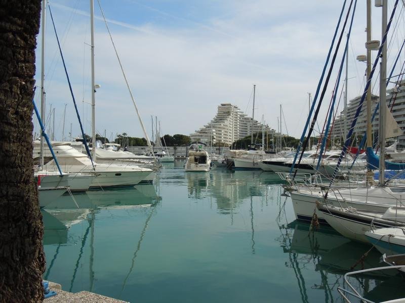 View From Quai D'Honneur